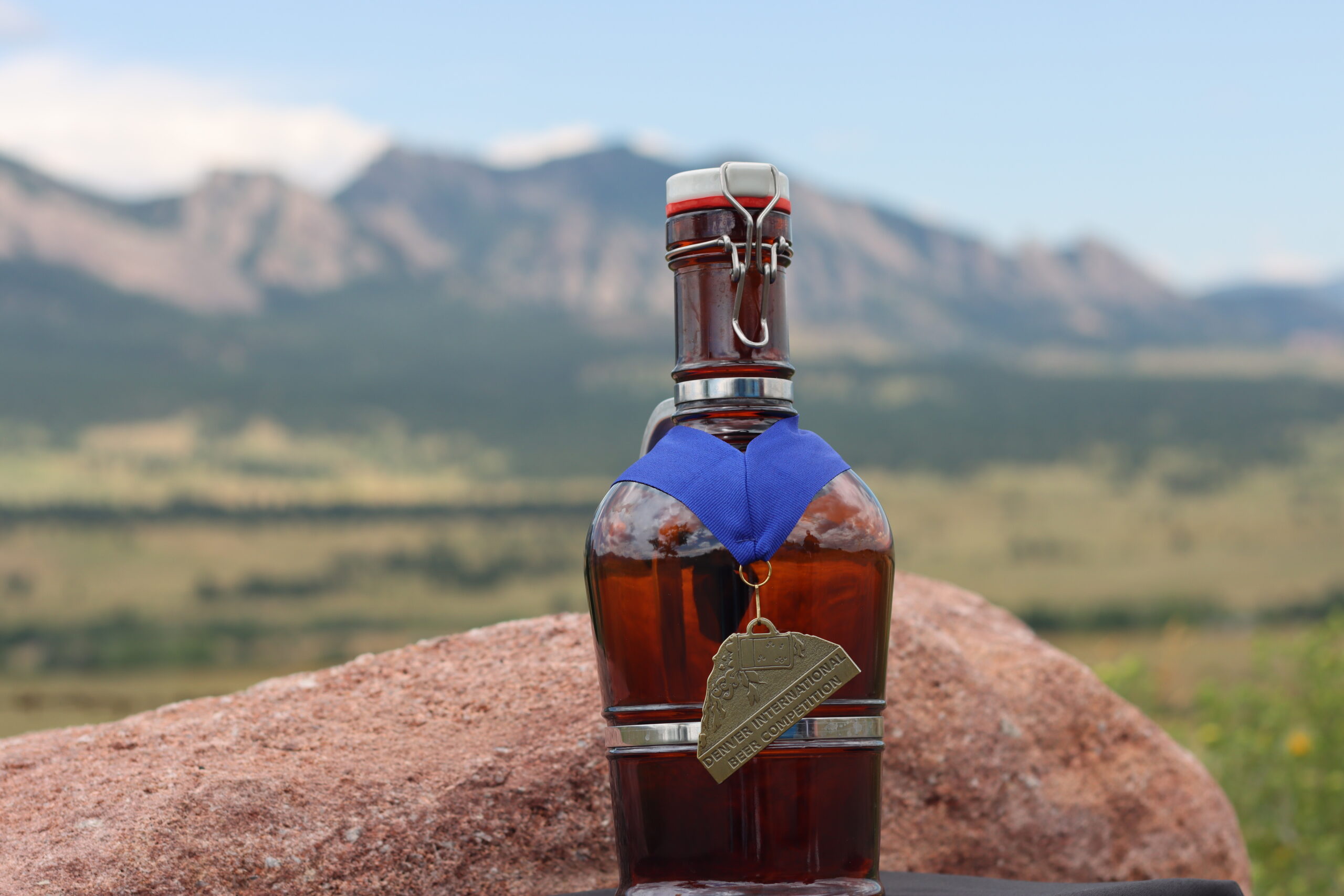 Pint of beer sitting in a pile of grain wearing a winning medal from the Denver International Beer Competition